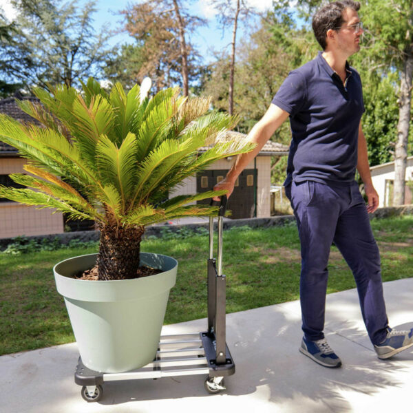 0dd8d9ec-c716-46f2-a60a-80ef8dd1bd74 Chariot plateforme extensible en aluminium 200 kg - plateau 44 à 66 cm