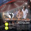 Parasol déporté solaire LED Tillvex, 300 ou 350 cm