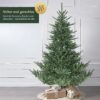 6c2f989e2b66465ca36dd4d46d6e5c34-goods Sapin de Noël artificiel à aiguilles moulées PE/PVC - 180 ou 210 cm - SALCAR